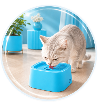 PET CARE