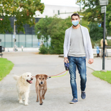 TwinControl Retractable Dog Leash