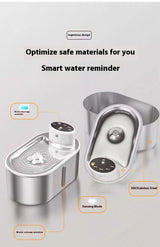 Stainless Steel Infrared Pet Water Fountain