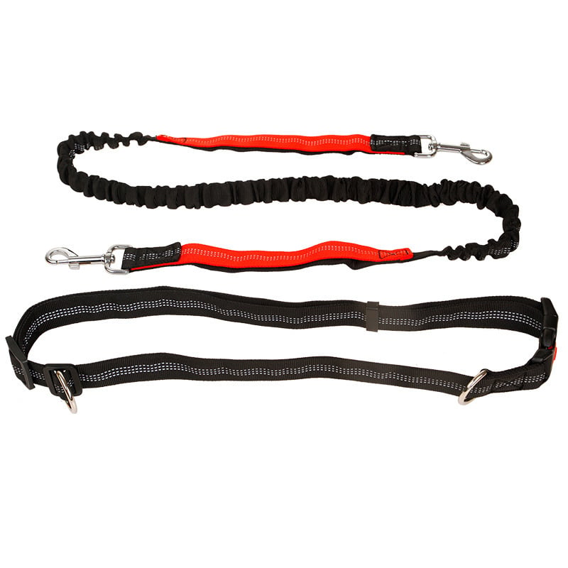 Reflective Elastic Pet Running Traction Belt for Fitness