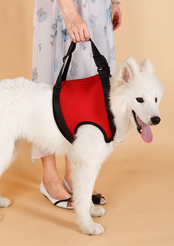 Senior Dog Support Harness
