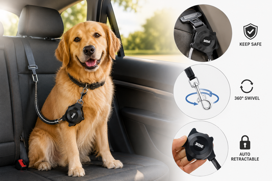 Alipis Automatic Dog Leash for Running & Hiking