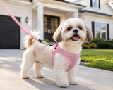 Diamond Studded Automatic Telescopic Pet Traction Belt
