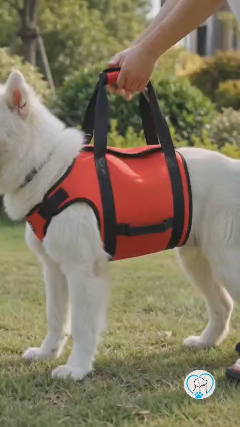 Senior Dog Support Harness