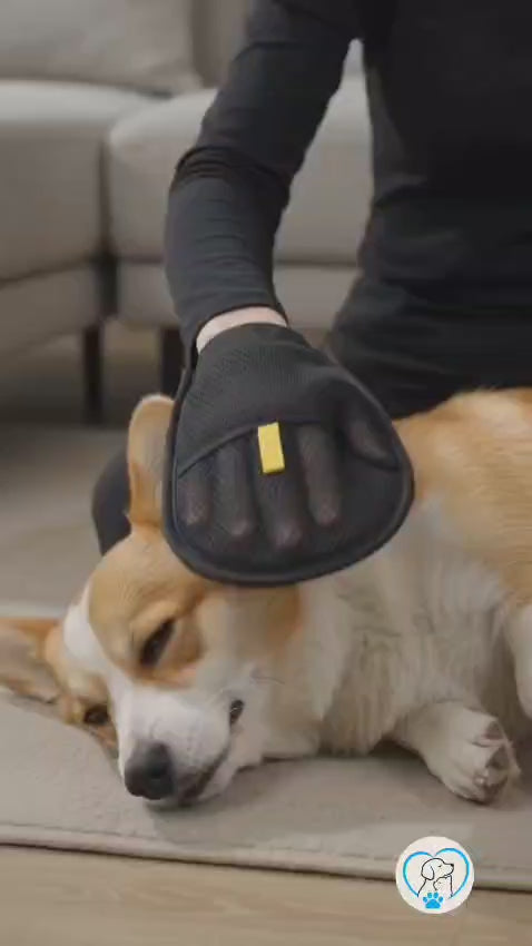 PawGlide Deshedding Gloves — Instant Fur Remover for Dogs, Cats & Rabbits