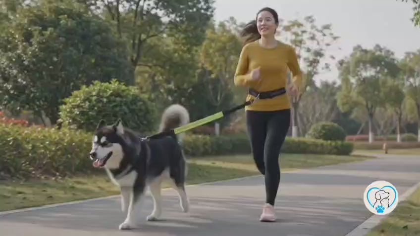 Reflective Elastic Pet Running Traction Belt for Fitness