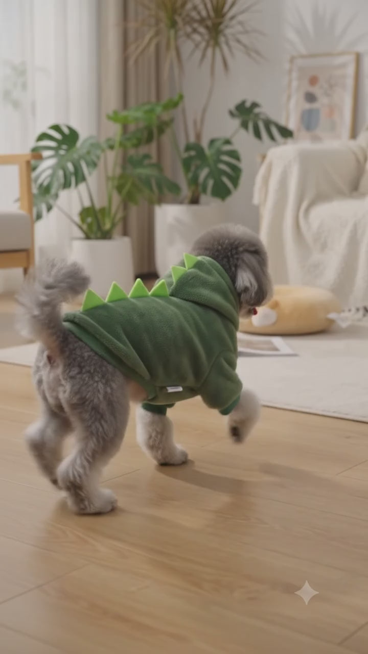 Thickened Warm Dinosaur Transform Pet Clothing