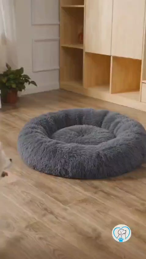 Fluffy Donut Pet Bed